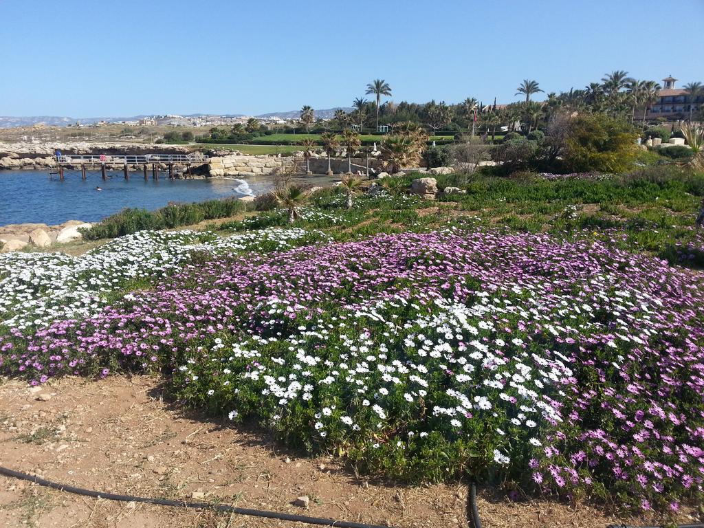 Faros Beach Пафос Екстер'єр фото